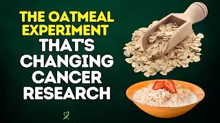 The Oatmeal Experiment That's Changing Cancer Research