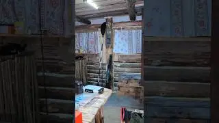 Ночь на избе   #изба #лес #хижина #тайга #ночевка #отдых #природа #camping #forest