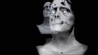 Haunted Props Ghost Bust Spider Face