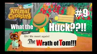 Tom sold my plot, look what happened! My A.C.life Ep 9