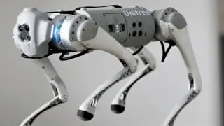 Go1 Robot Dog