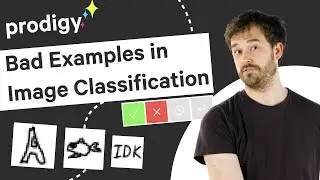 Finding BAD IMAGE DATA using UMAP and Prodigy