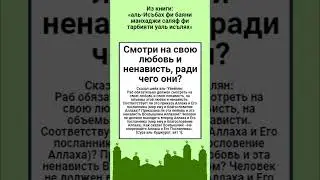 Смотри на свою любовь и ненависть, ради чего они?