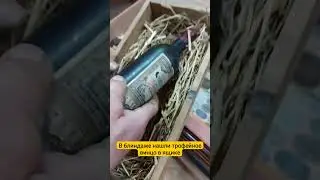 Нашли целую бутылку трофейного вина времен войны