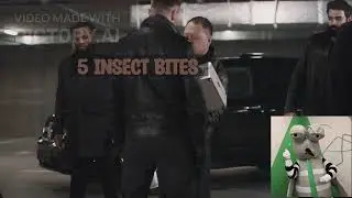 5 Insect's Bites That Will Ends Your Day - Bite #1
