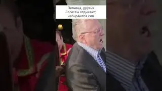 #грузоперевозки #логистика #юмор #дальнобойщики #склад #бизнес #бизнесидеи