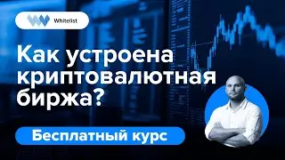 Как устроена криптовалютная биржа? | Бесплатный курс по трейдингу криптовалют | Академия Whitelist