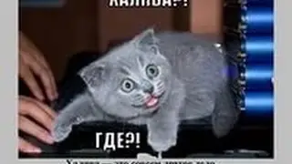 Халява 3 (IOS jb)