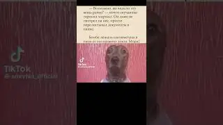 мемы к 