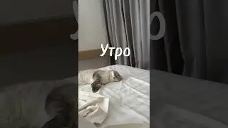 День с Леликом  🙃