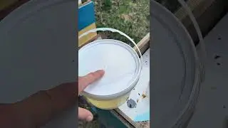 Стимуляция пчëл во время холодов