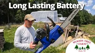 This Chainsaw Worked Me Harder Than I Wanted