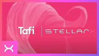 StellarX and Tafi
