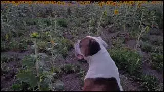 Привет от Серёги🌻🌻🌻