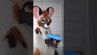 Meet the Furries ! 