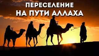 Все о переселении @Ruslan_Malikov
