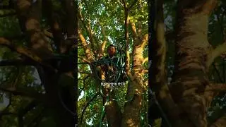 Обзор садового шланга 