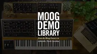 Moog One | How to Update Firmware