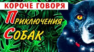 Короче Говоря ПРИКЛЮЧЕНИЯ СОБАК Часть 1 ПОБЕГ / История одной жизни