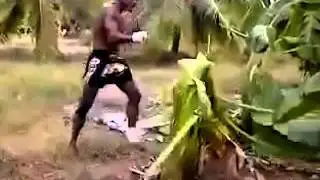 When you shut down Maokai