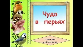 Виртуальная экскурсия «О птицах родного края»