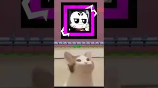 Гиперзаряд на Кита Выглядит Так 