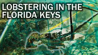 Lobstering in the Florida Keys with Bad Visibility and Storms