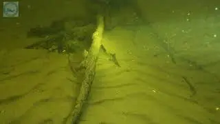 Осенний марафон дайвинга клуба  Подводник-Волга.