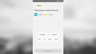 Duolingo app основные фразы