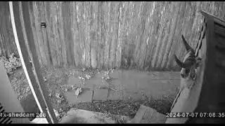 Shed view Live Stream Test Sheffield St, Victoria Palms RV resort, Donna, Texas