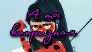 Леди баг и супер кот клип 