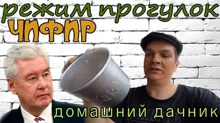 РЕЖИМ ПРОГУЛОК ЧИФИР ДОМАШНИЙ ДАЧНИК (какой дом гуляет?) 2020