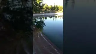 7 Ağustos 2019