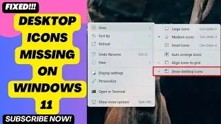 Desktop Icons Missing on Windows 11 | Quick Fix