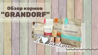 Обзор кормов для кошек и собак 