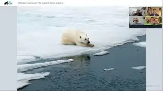 Ice Breaker Conversations: Polar Bears with Morten Jorgensen