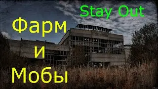 🌟Фармлю мобов всех🌟Сталкер онлайн🌟stayout 👍