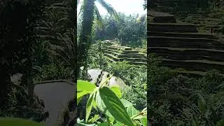 Beautiful Ubud Art