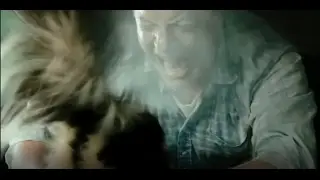 skunk scenes