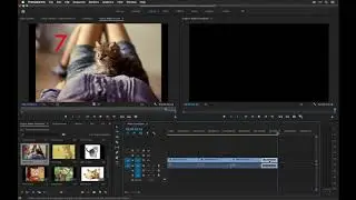 Using copy & paste on the timeline in Premiere Pro