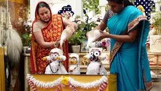 Snana Yatra - the bathing ceremony of Lord Jagannath, Baladev and Subhadra Devi - 6/11/2023