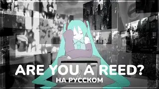 【Cat】Hatsune Miku – Are You a Reed? (русский кавер)