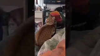 ты где?????