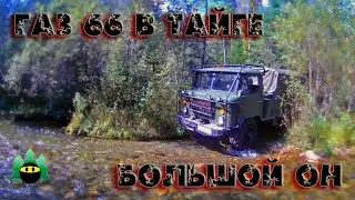 ГАЗ 66 в тайге. Река Большой Он.