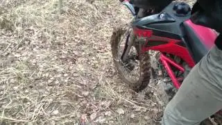 Покатушки по лесу
