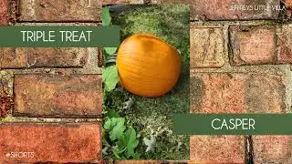September Pumpkin Update