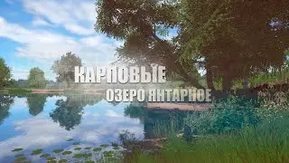 Русская Рыбалка 4 ► Russian Fishing 4 ► Озеро Янтарное - Карповые с мостика!