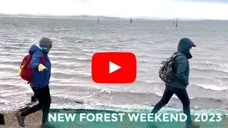 NEW FOREST WEEKEND ADVENTURE, with guest Bloom!