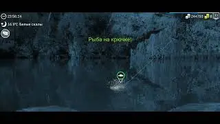 My Fishing World - ФНЗ #1| Фармим на заданиях на эхолот