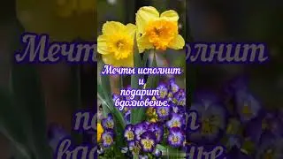 Весной  все иначе - небо голубее, люди добрее,  дни длиннее, счастье ярче!